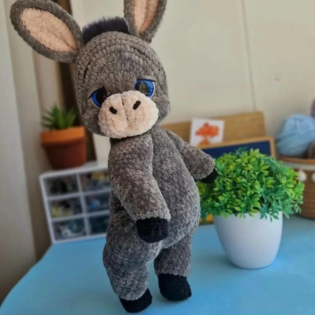 Donkey Boy